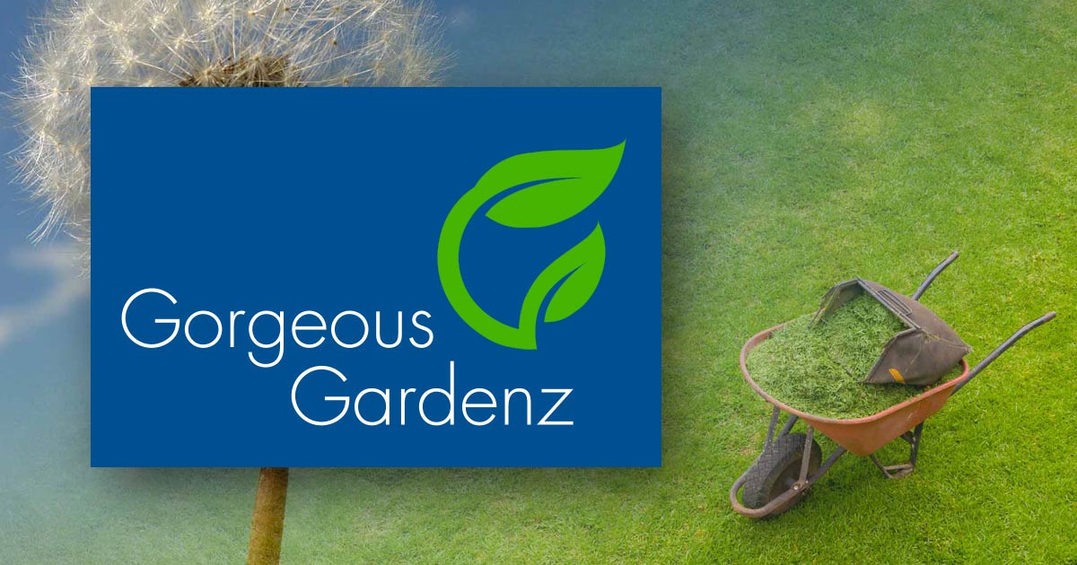 Gardenz Quality Garden Care in Auckland